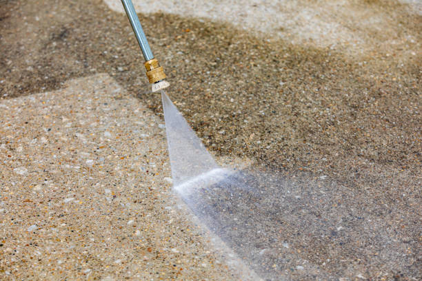 Animal Enclosure Cleaning in Princes Lakes, IN
